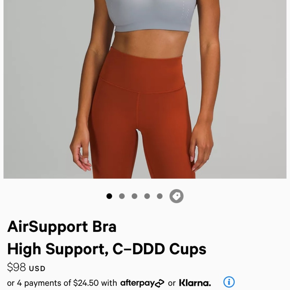 Brand new and never worn Air Support sports bra. 34C in Rhino Gray.